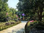 公园林间步道风景