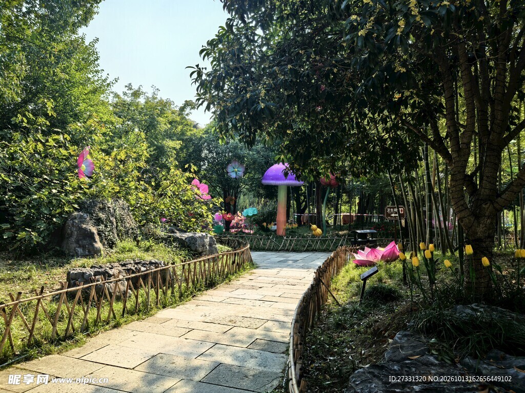 公园林间步道风景