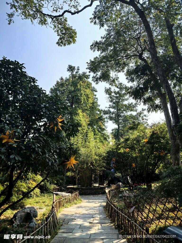 林间步道自然风光