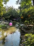 河畔园林绿意小景