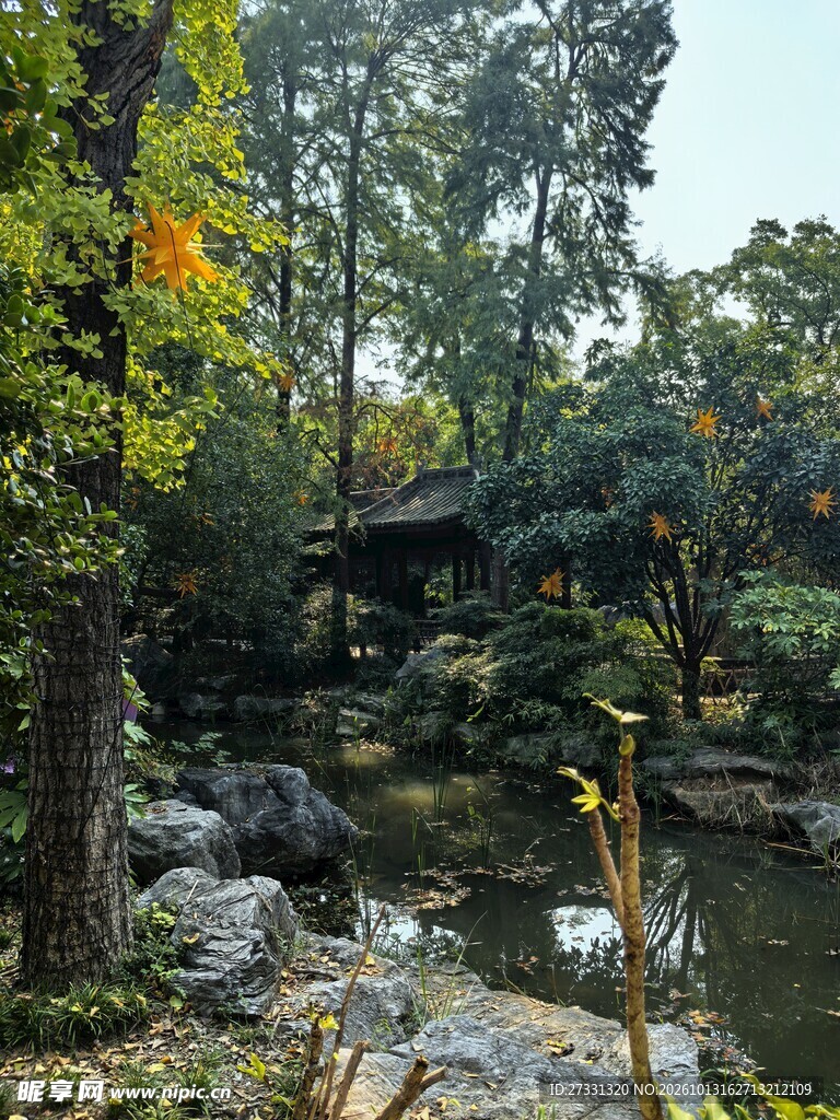 林间溪流自然小景