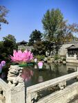 中式园林湖景风光