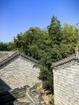 古建屋顶晴空林景