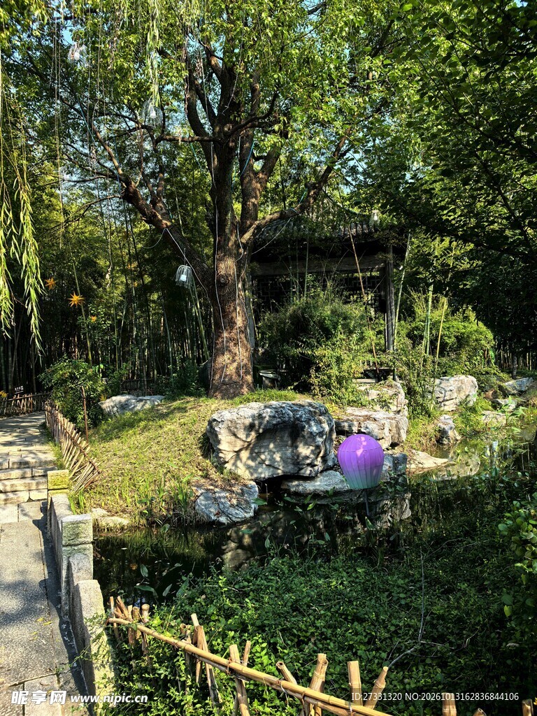 林间小池园林风光