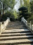 林间石阶步道