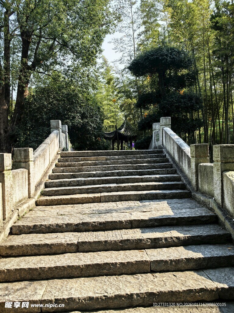 林间石阶步道