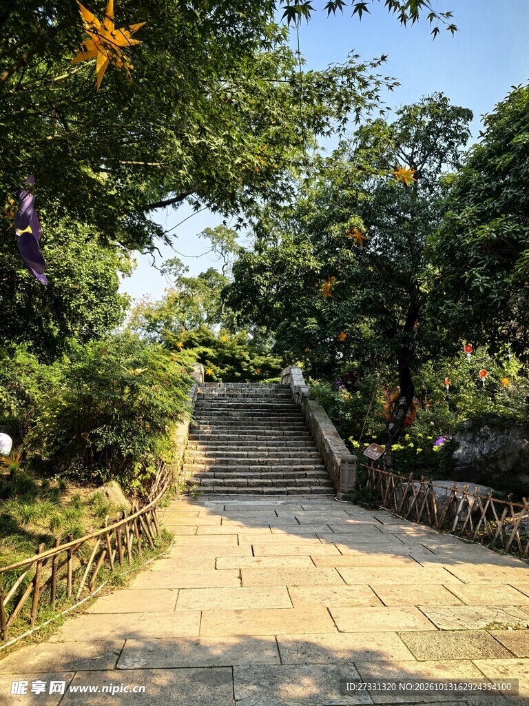 林荫下的乡间石桥