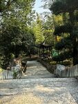 林荫步道园林小景