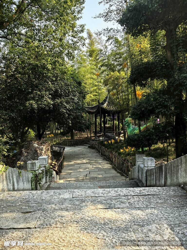 林荫步道园林小景