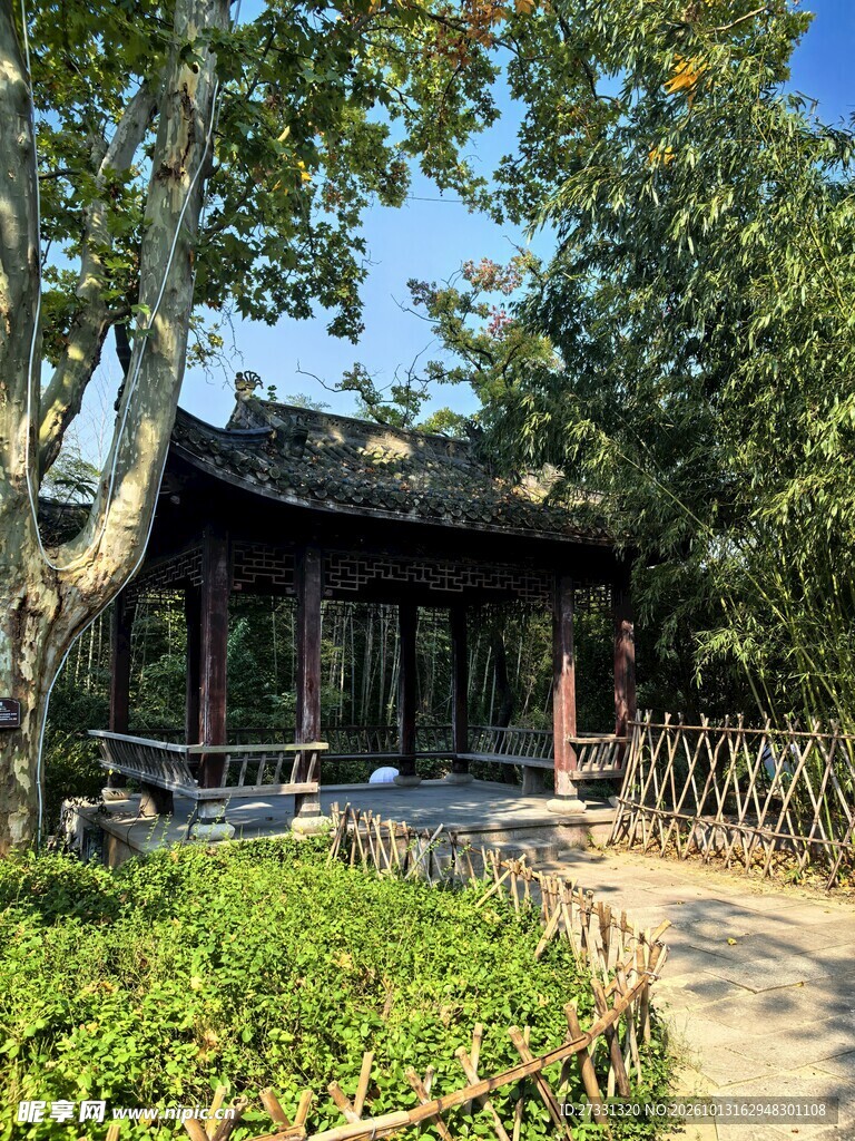 林间古亭清幽景致