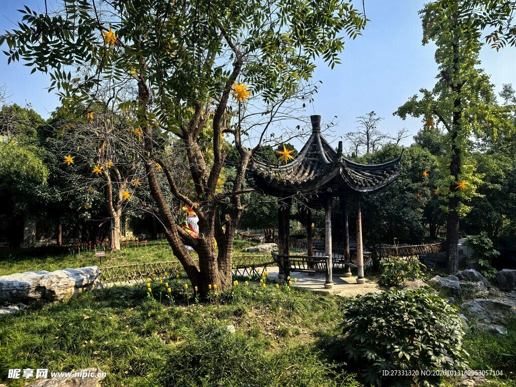 园林古亭晴日风光