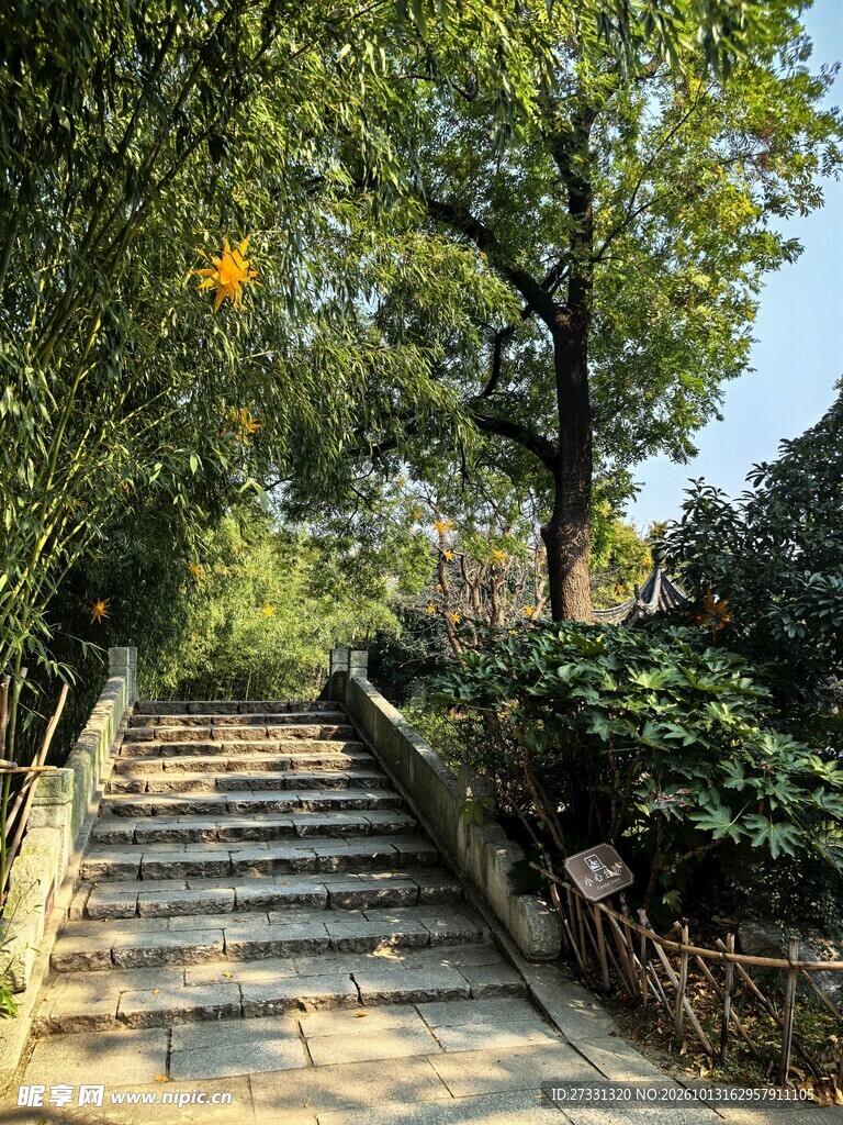 林荫石阶步道风光
