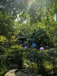 林间幽亭夏日风光