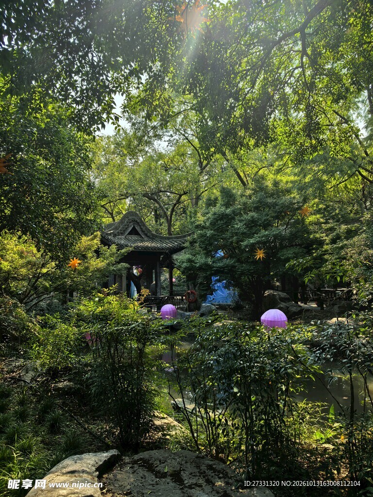 林间幽亭夏日风光
