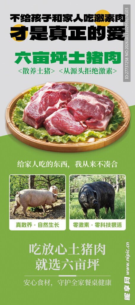 散养土猪肉美食海报长图易拉宝