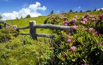 春日山野田园风光