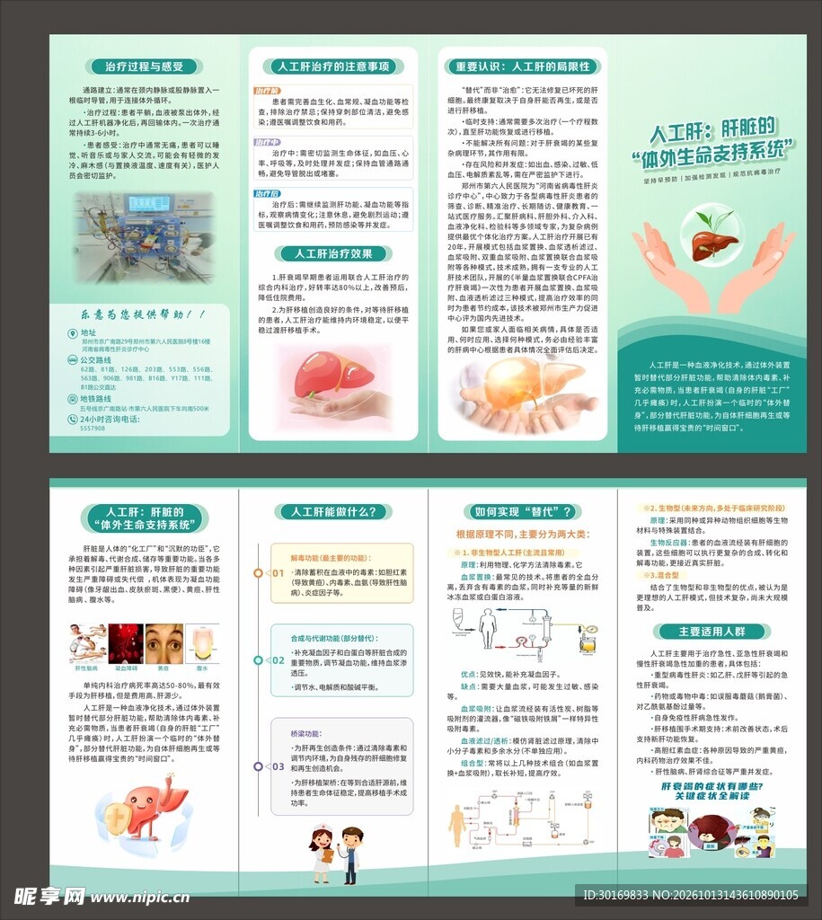 健康科普宣传折页模板