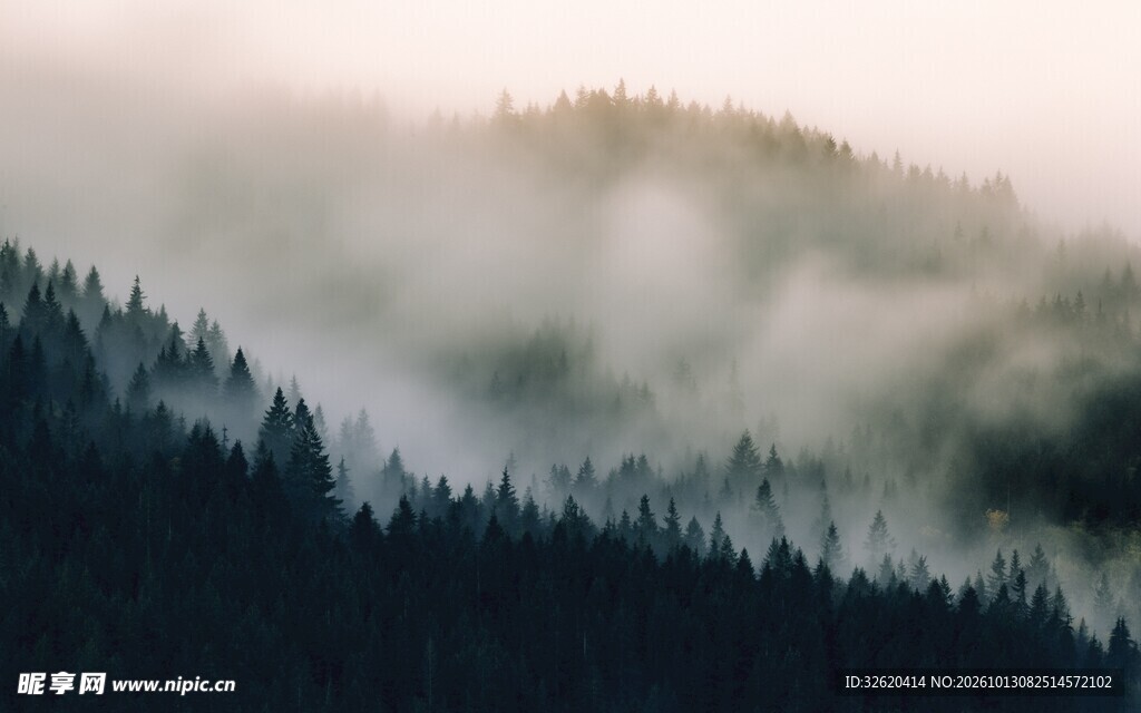 晨雾山林美景