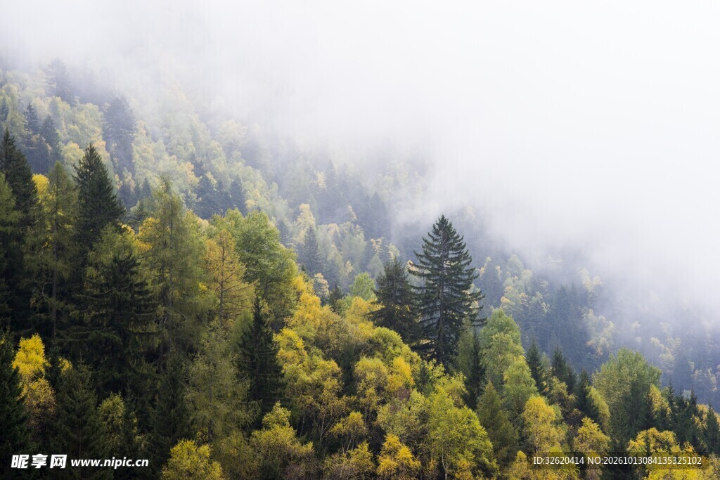 雾绕山林自然风景