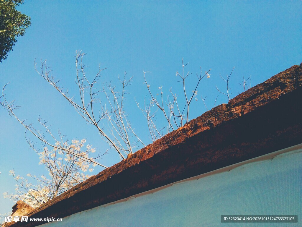 晴空屋檐小景