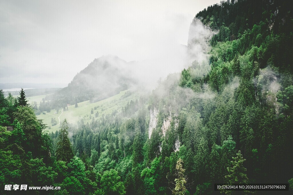 雾漫山林自然风光