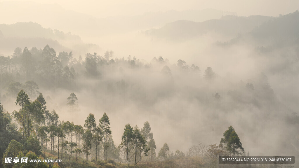 山间晨雾朦胧美景