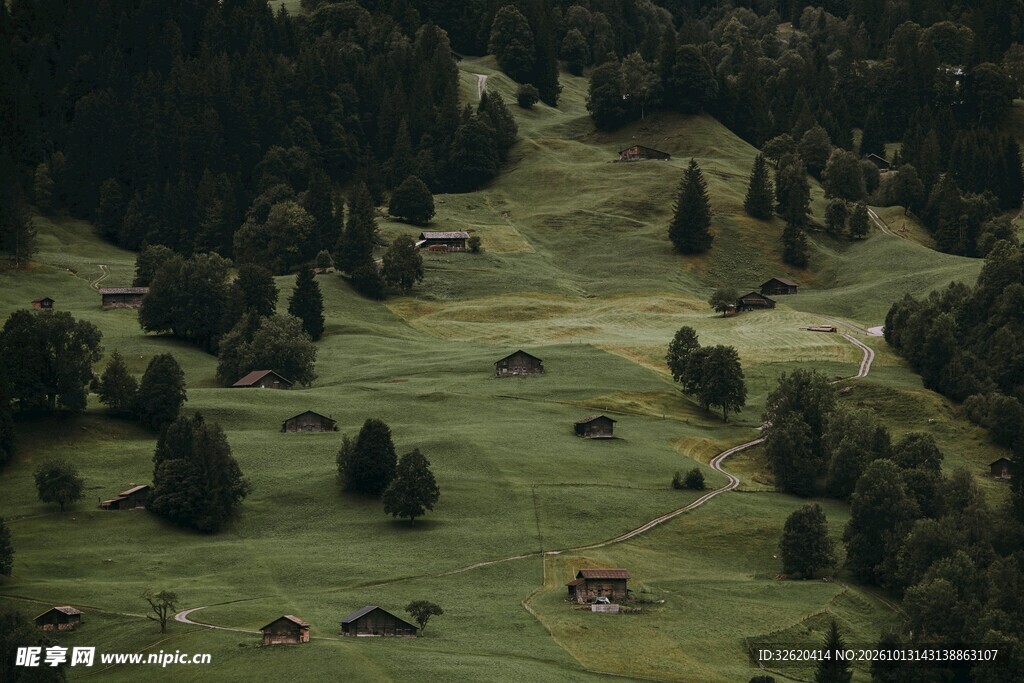 郊野牧场自然风景