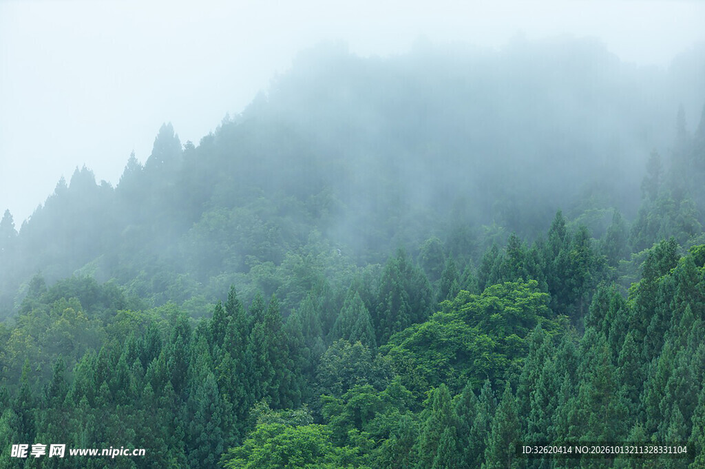 雾绕青山朦胧山林风光