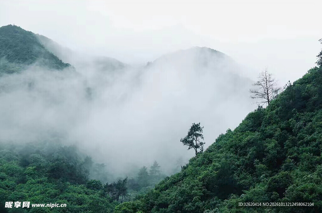雾漫青山山野风光