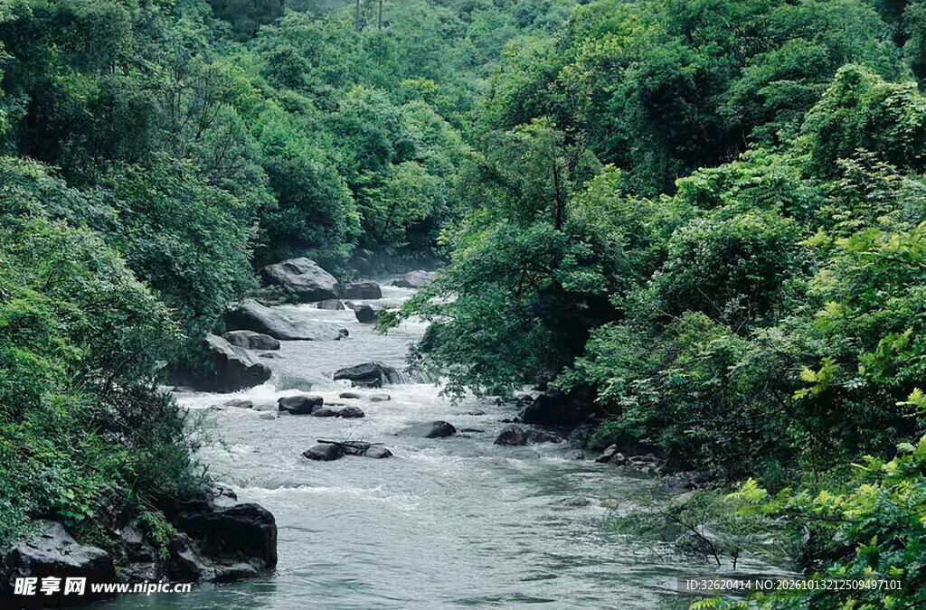 山林间湍急溪流