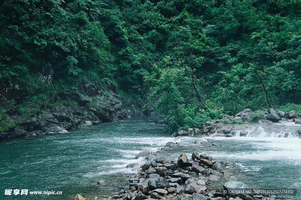 林间山涧溪流风光