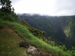 山间郊野步道风光