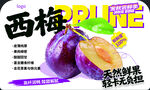 西梅生鲜立牌