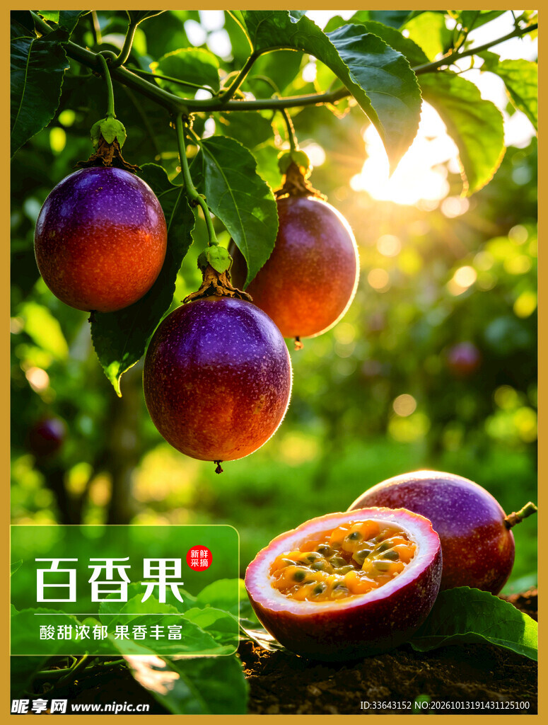 百香果海报
