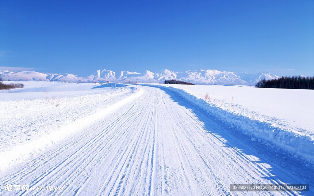 晴日雪场滑雪道风光