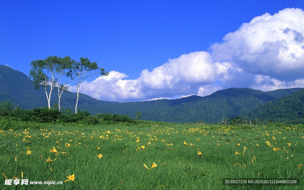 郊野草原自然风光
