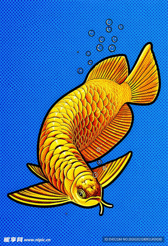 金龙鱼插画