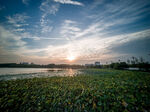 湿地湖畔日落风光