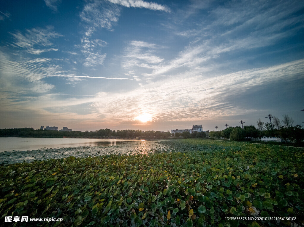 湿地湖畔日落风光
