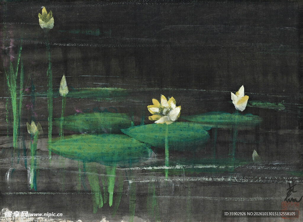 夜色荷塘睡莲