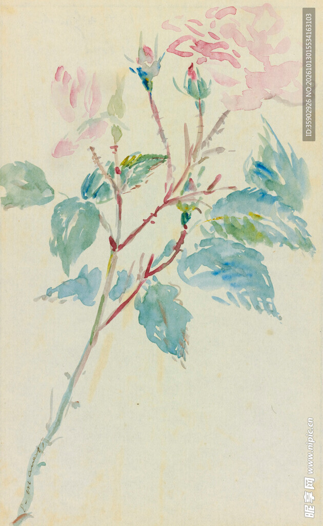 手绘淡彩粉玫瑰花枝