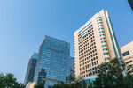 城市商务高楼群仰拍