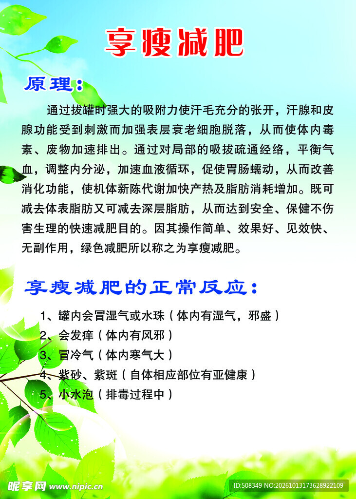 享瘦减肥科普海报
