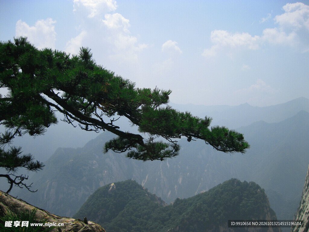 崖边苍松远山风光