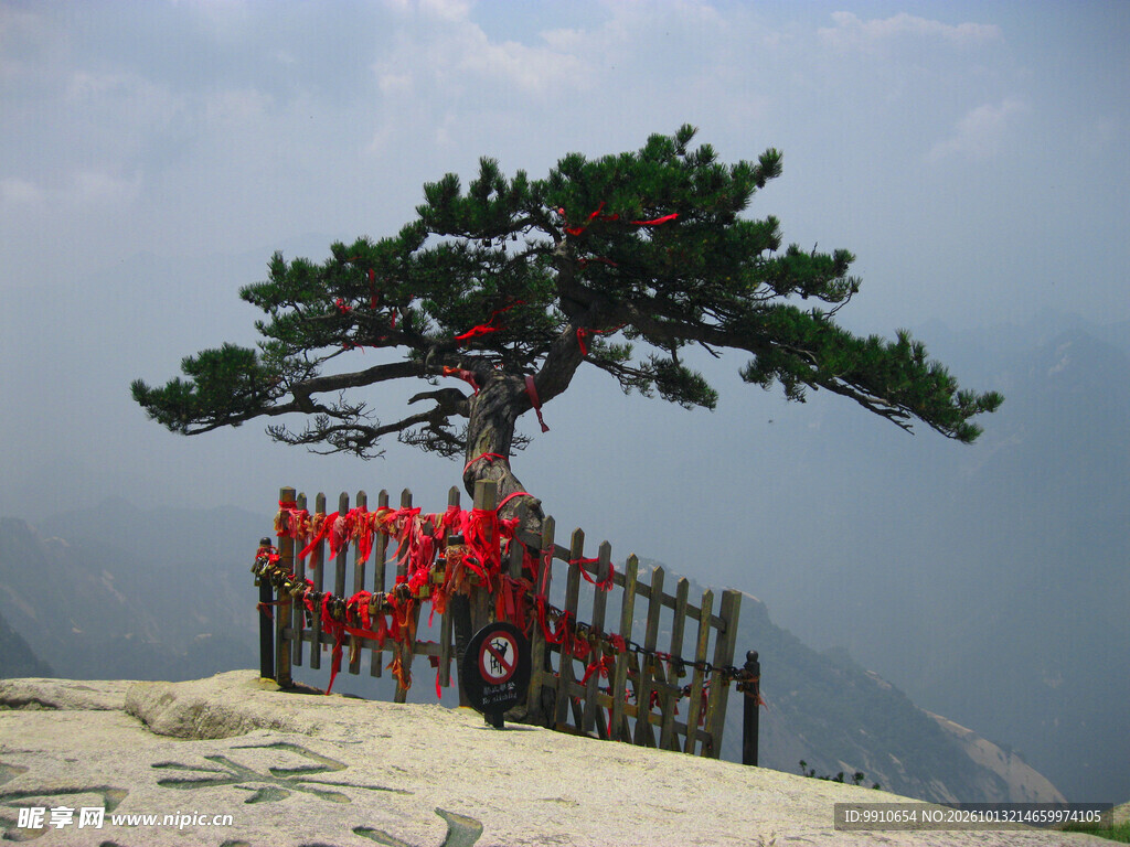 山顶迎客松风光