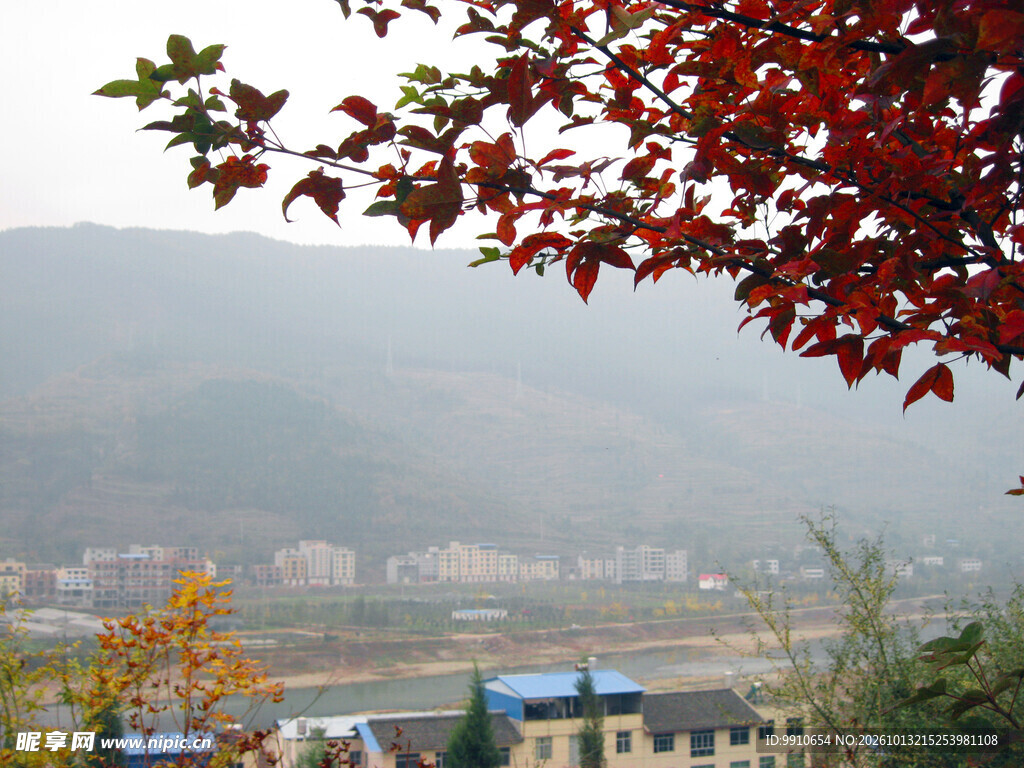 秋日红叶远眺山乡