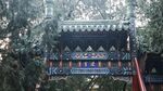 林间掩映中式古建