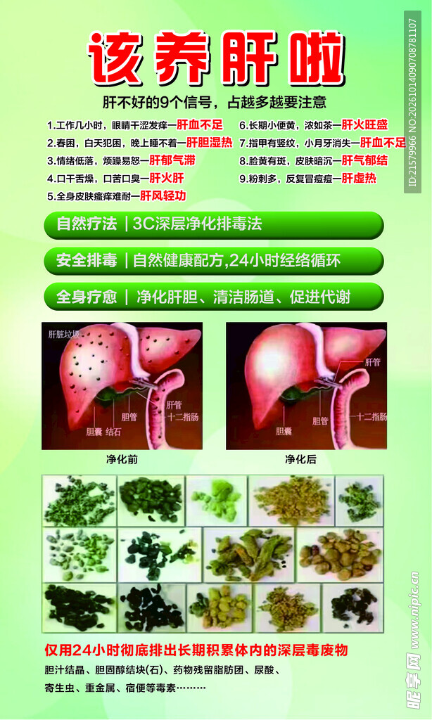 养肝科普宣传海报