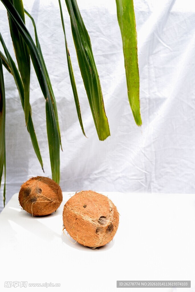 椰果与棕榈叶静物