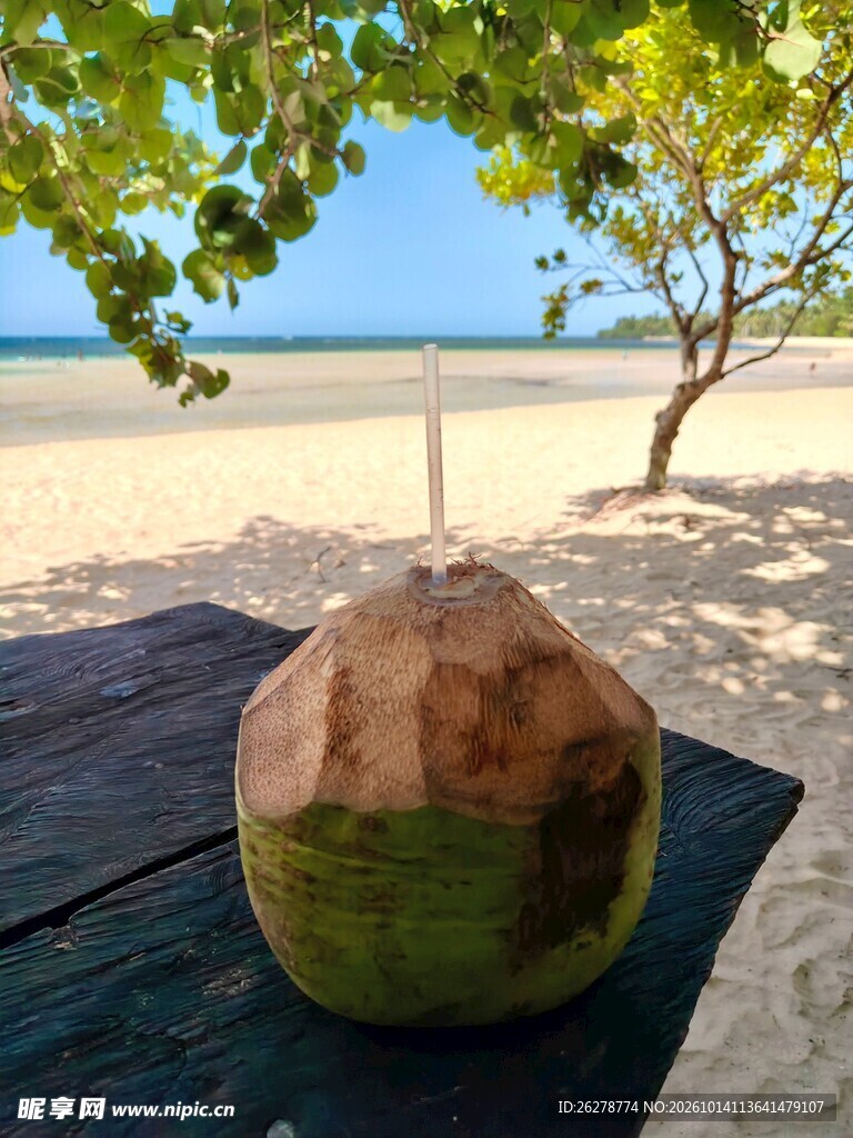 海滩边的椰子